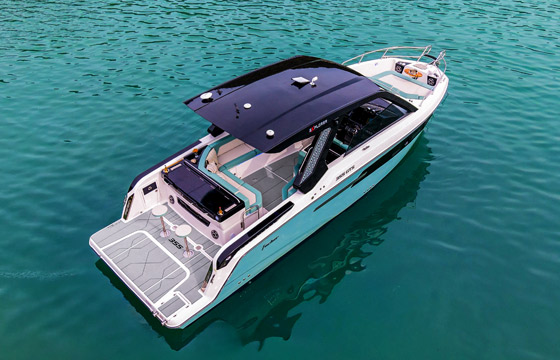 Destaque 355 560x360